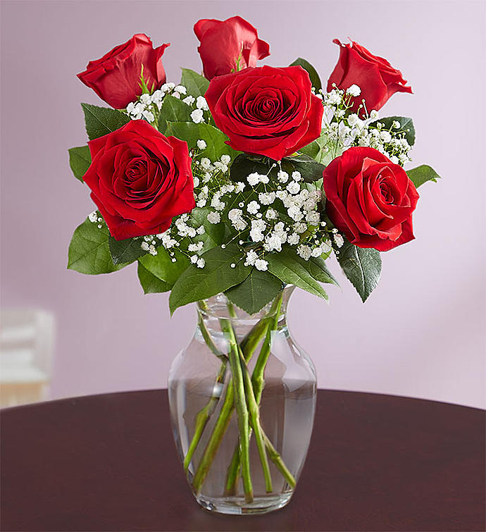 Love’s Embrace 6 Red Roses