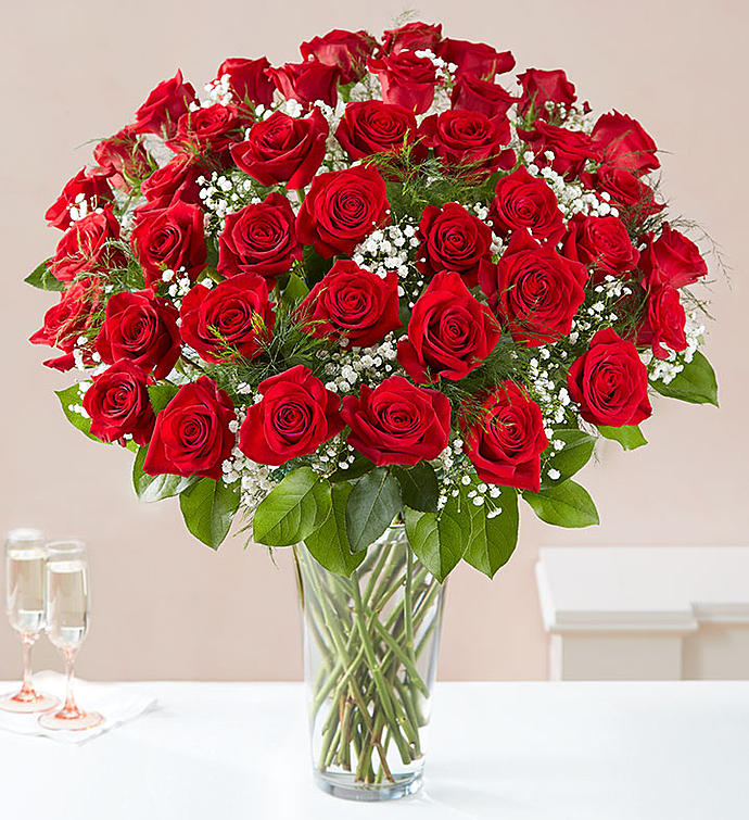 Ultimate Elegance 48 Long Stem Red Roses