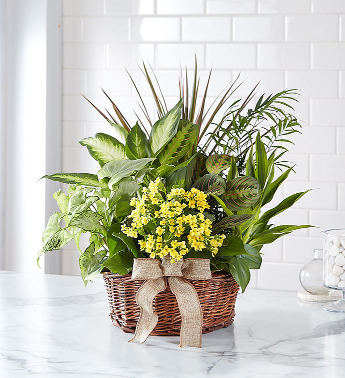 Medium Mystic River Planter