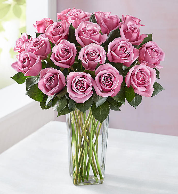 Passion For Purple Roses 12 or 24 Stems