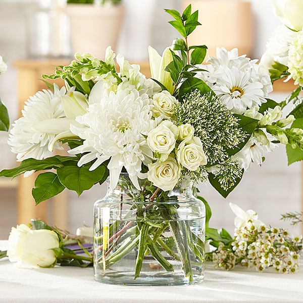 Classic Ivory