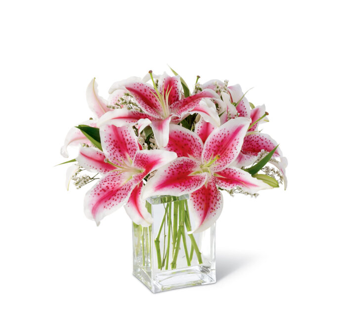 Stargazer Lily Vase