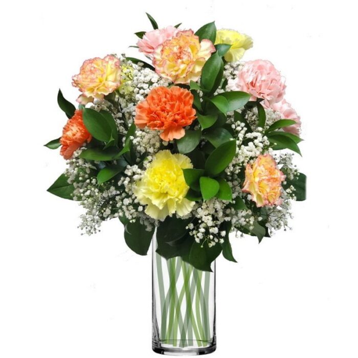 Mixed Carnations in Vase (Florist Choice of Colors)