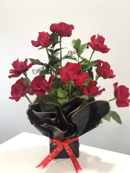 Indianapolis Rose Dozen