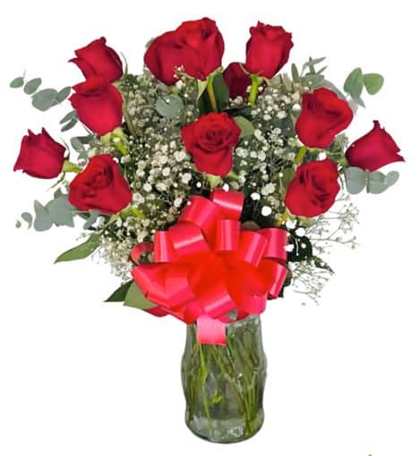 Te Amo Rose Dozen