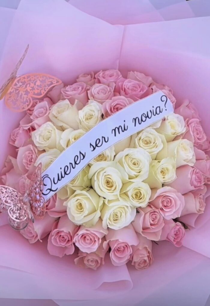 Be My Girlfriend 50 Roses (customize your own ribbon)