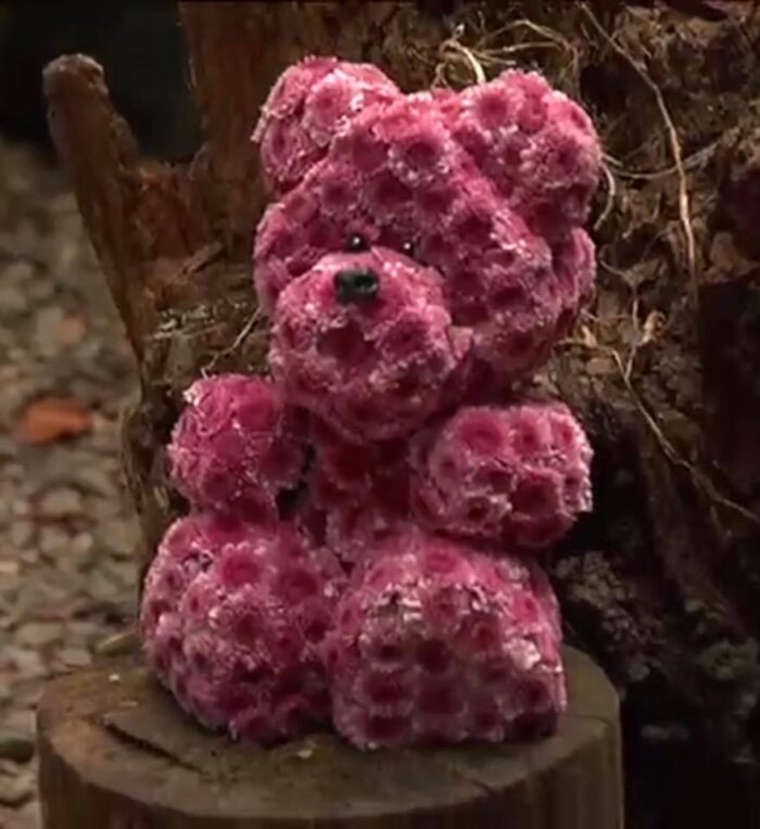 Bobo Bear